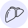 Liver Health Liver Health