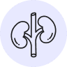 Kidney Health Kidney Health