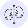 Kidney Health
