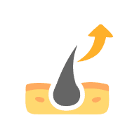 Maximum Hair Reduction