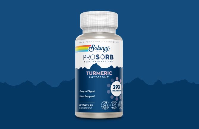 Prosorb Turmeric