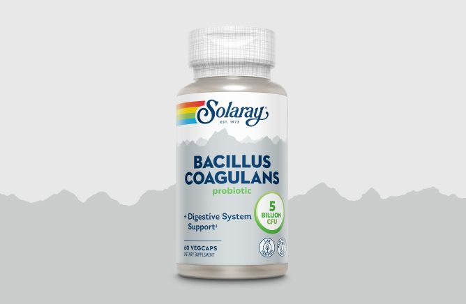 Bacillus Coagulans