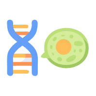 Metabolism Support