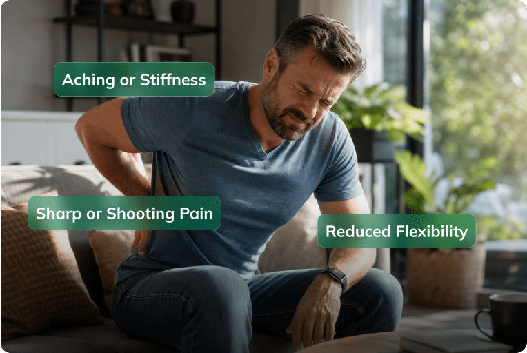 Back Pain Back Pain