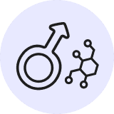 Male Sex Hormones