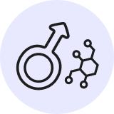 Male Sex Hormones Male Sex Hormones